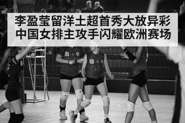 Turkish volleyball league match